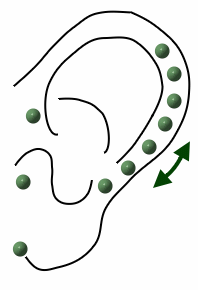 Akupressurpunkte gegen Tinnitus